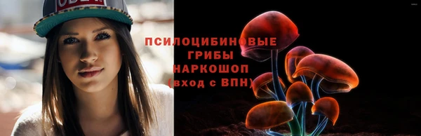 мдпв Навашино
