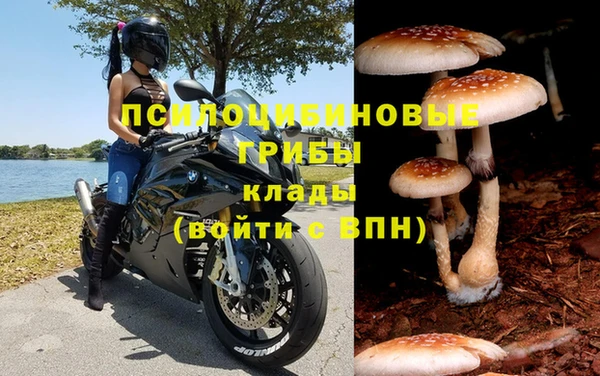 мдпв Нефтегорск