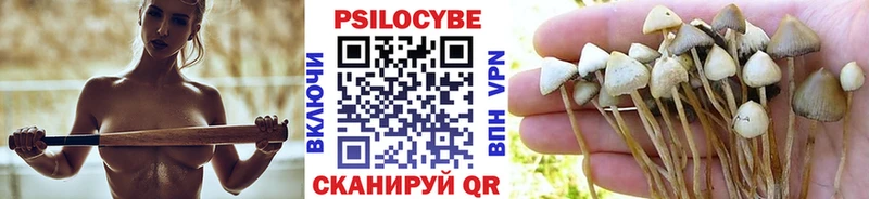 Галлюциногенные грибы Psilocybe  ссылка на мегу сайт  Терек 